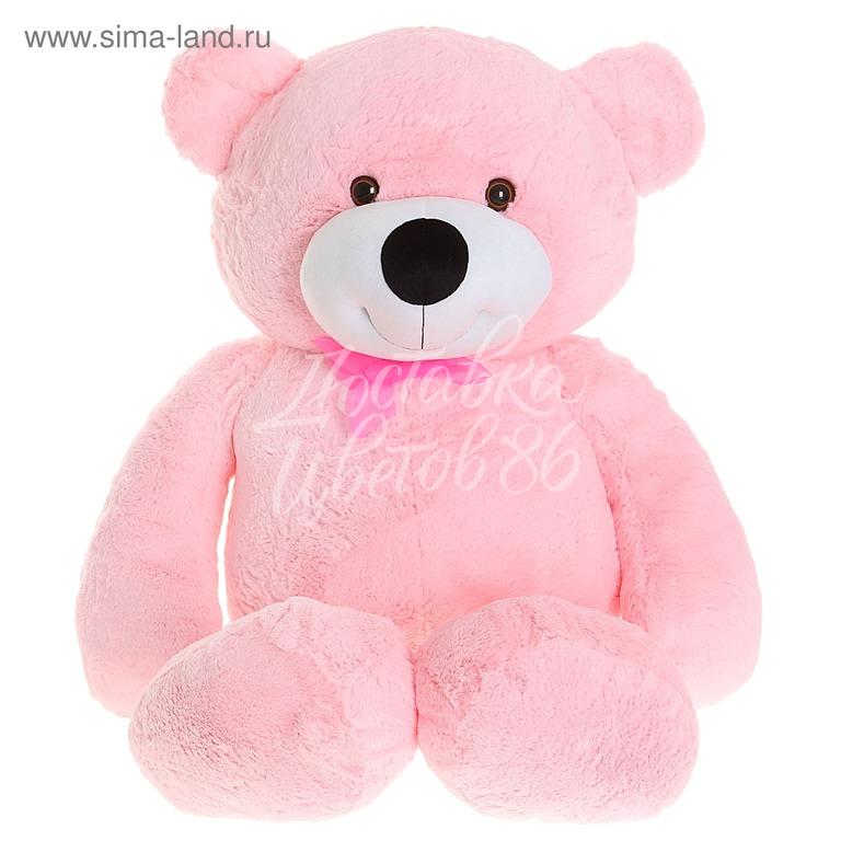 Розовый мишка игрушка. Розовый медведь игрушка. Мягкая игрушка «мишка». Розовый плюшевый медведь.